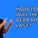 How long will this bear market last?